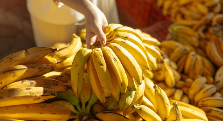 FRUTCO bananas hero image