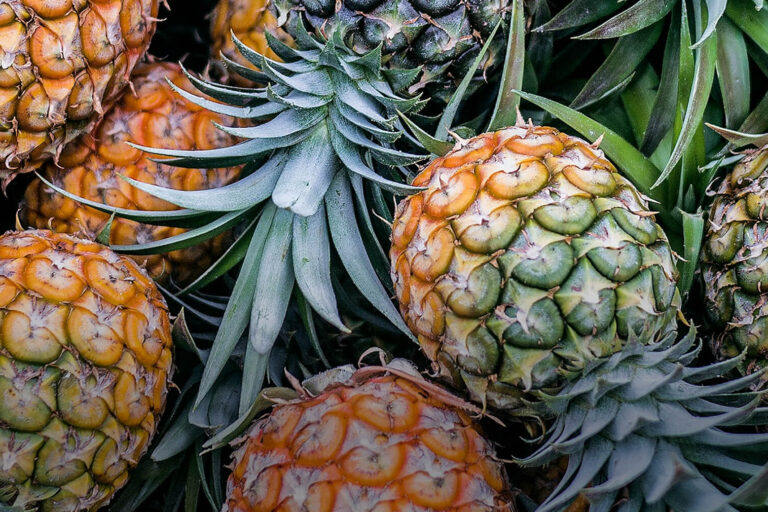 Pineapple Conventional